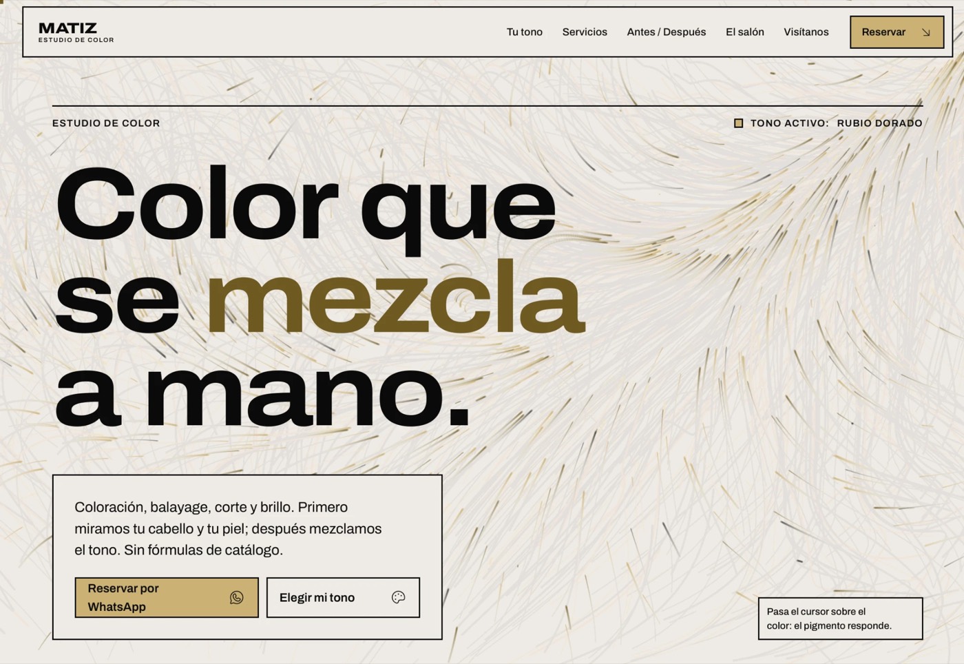 Matiz Estudio de Color: inicio de la página